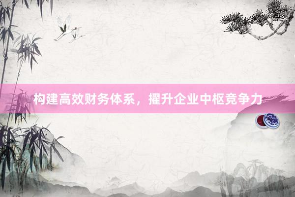 构建高效财务体系，擢升企业中枢竞争力